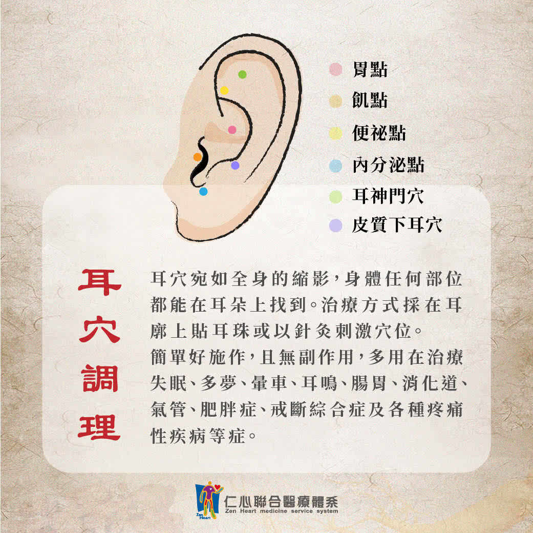 中醫耳穴調理