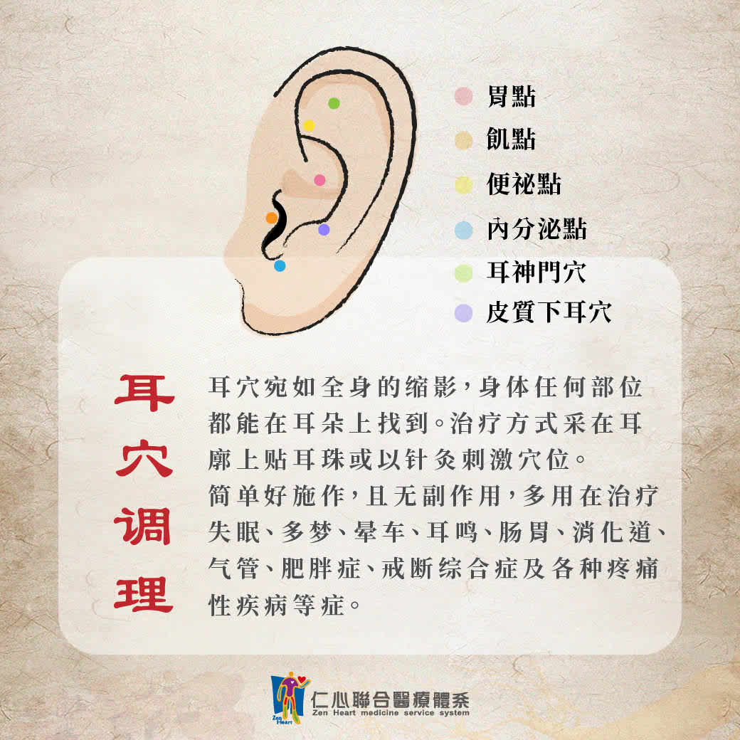 中医耳穴调理