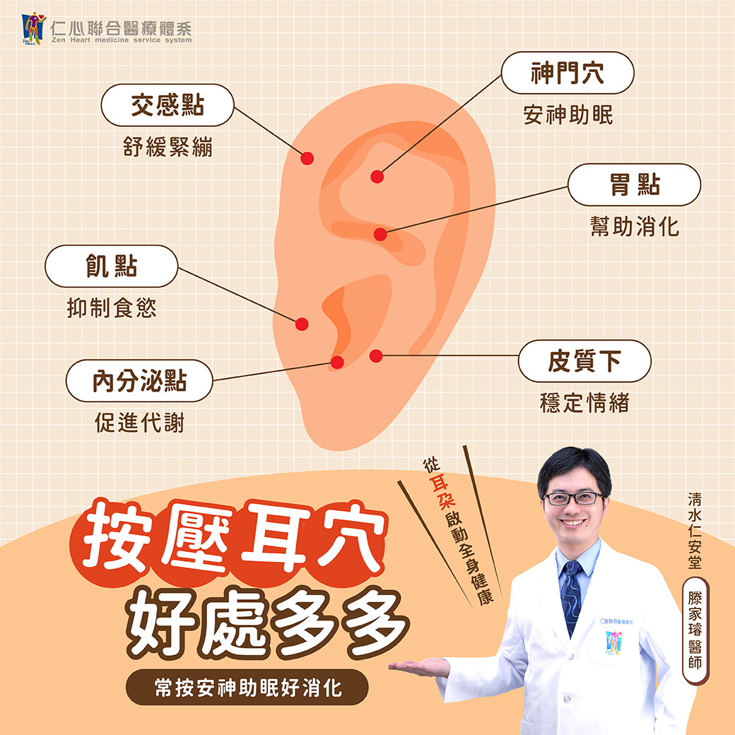 按壓耳穴可同時達到舒壓、助眠、消化與代謝調理的效果，關鍵穴位包括交感點、神門穴、胃點、飢點、內分泌點及皮質下。此方法有助釋放壓力、改善睡眠品質、抑制過度食慾、促進新陳代謝並穩定情緒，適合忙碌現代人日常自我保健，從耳朵啟動全身健康循環，簡單易行且安全。