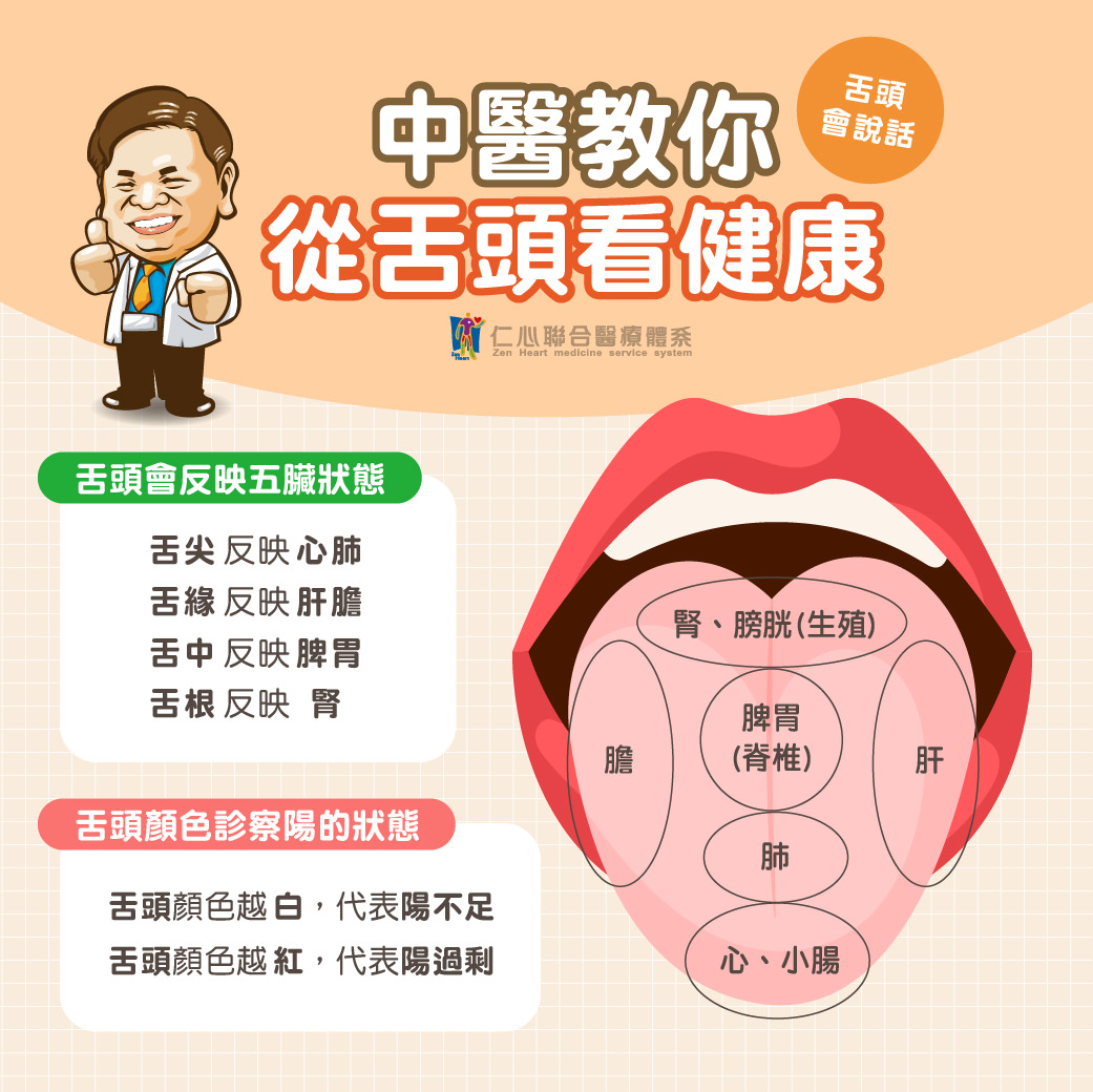中医认为,舌头能反映身体健康状况,舌头不同部位对应着五脏的状态:舌尖反映心肺,舌缘反映肝胆,舌中反映脾胃,舌根反映肾。舌头的颜色也能诊断阳气情况,颜色越白代表阳气不足,颜色越红则可能是阳气过剩。观察舌头变化,有助于及早发现健康问题,进行针对性的调理和改善。