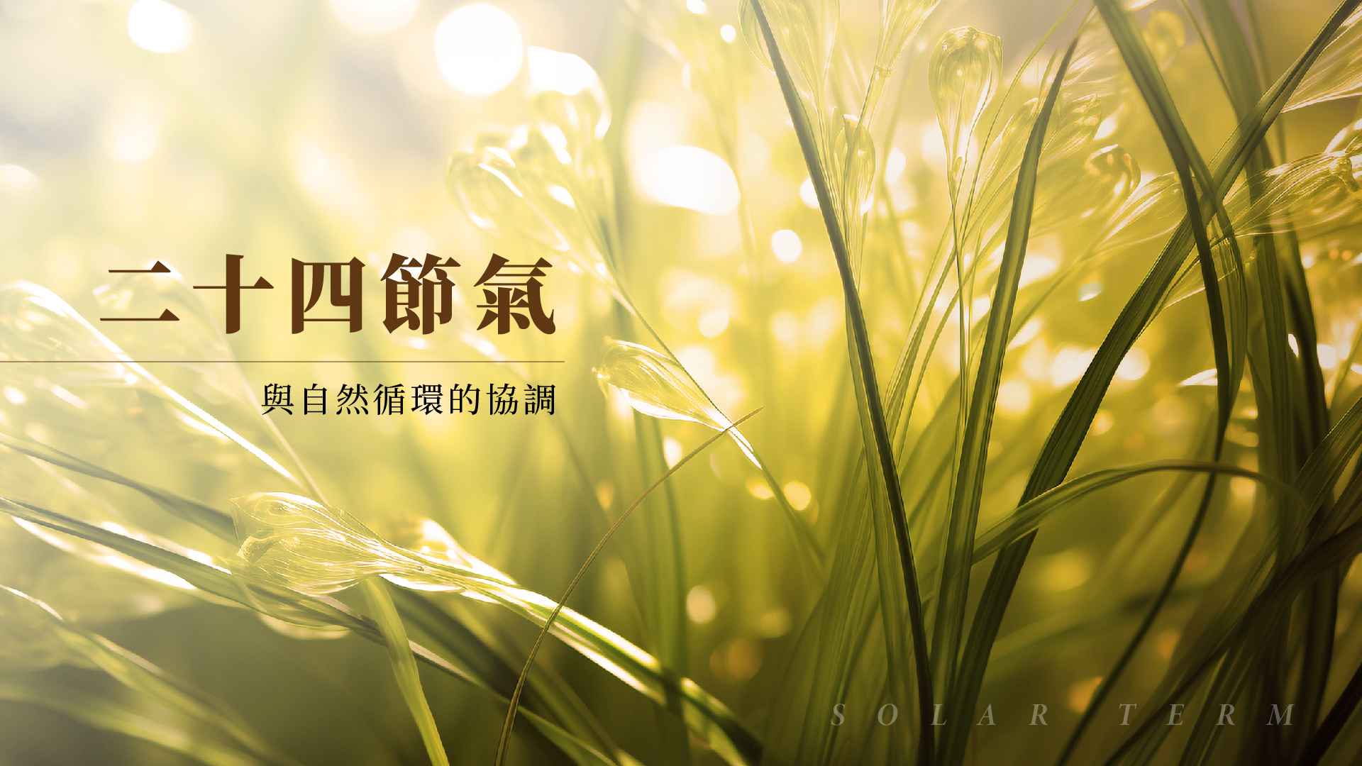 二十四節氣