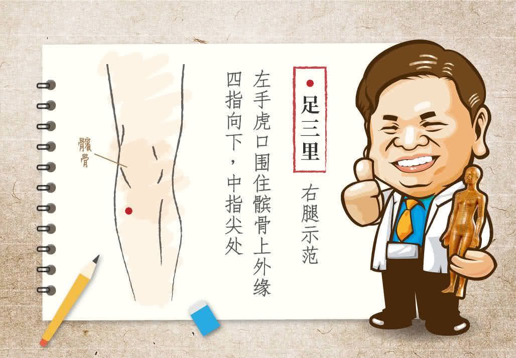 足三里穴