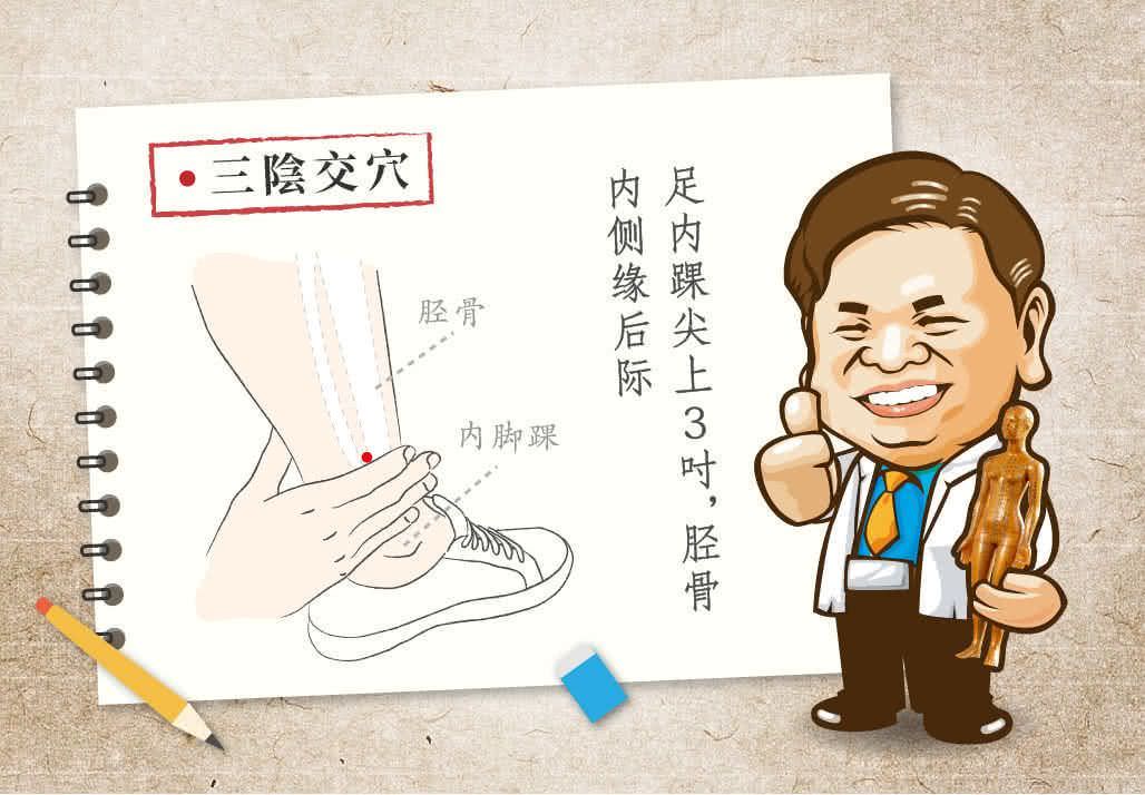 三阴交穴