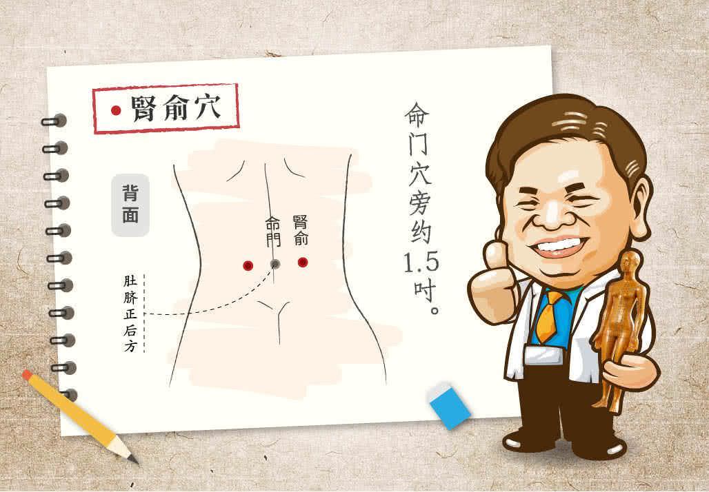 肾俞穴