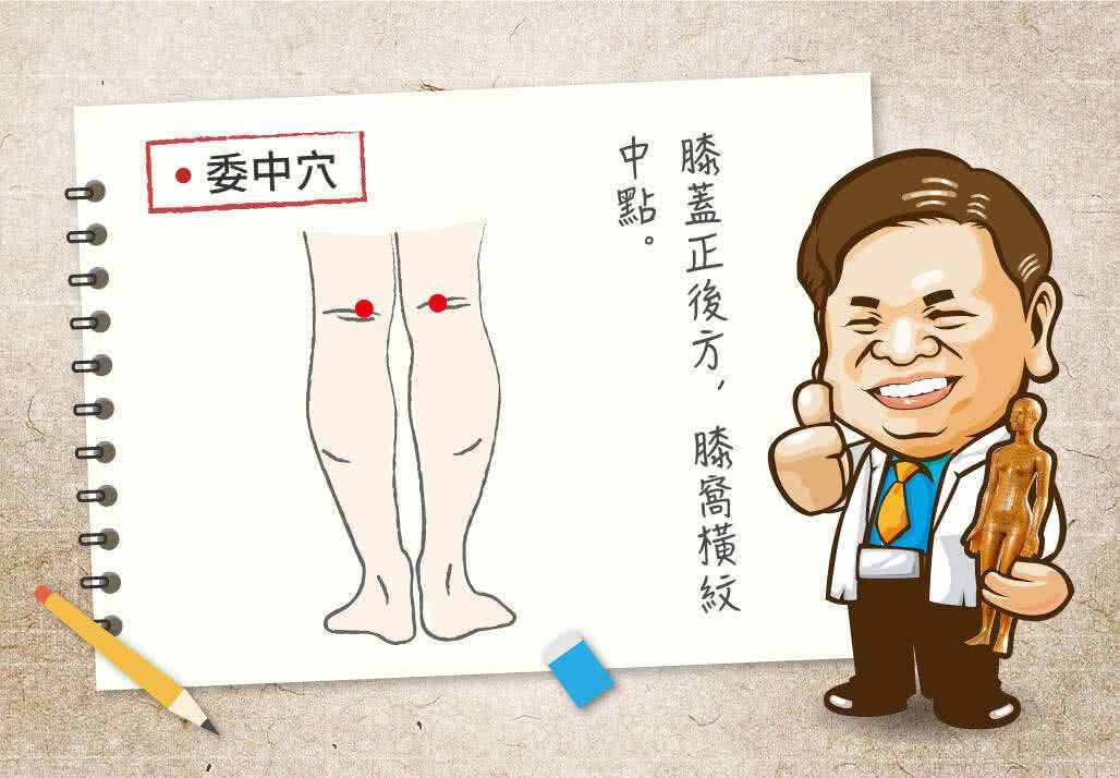 委中穴