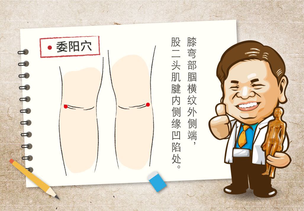 委阳穴
