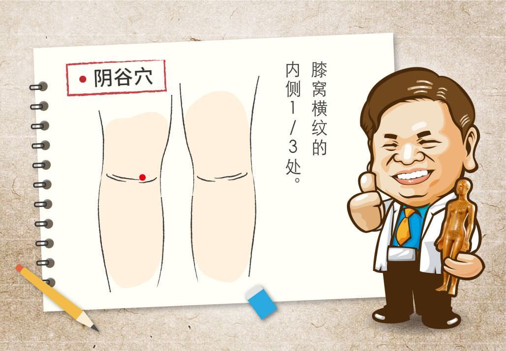 阴谷穴