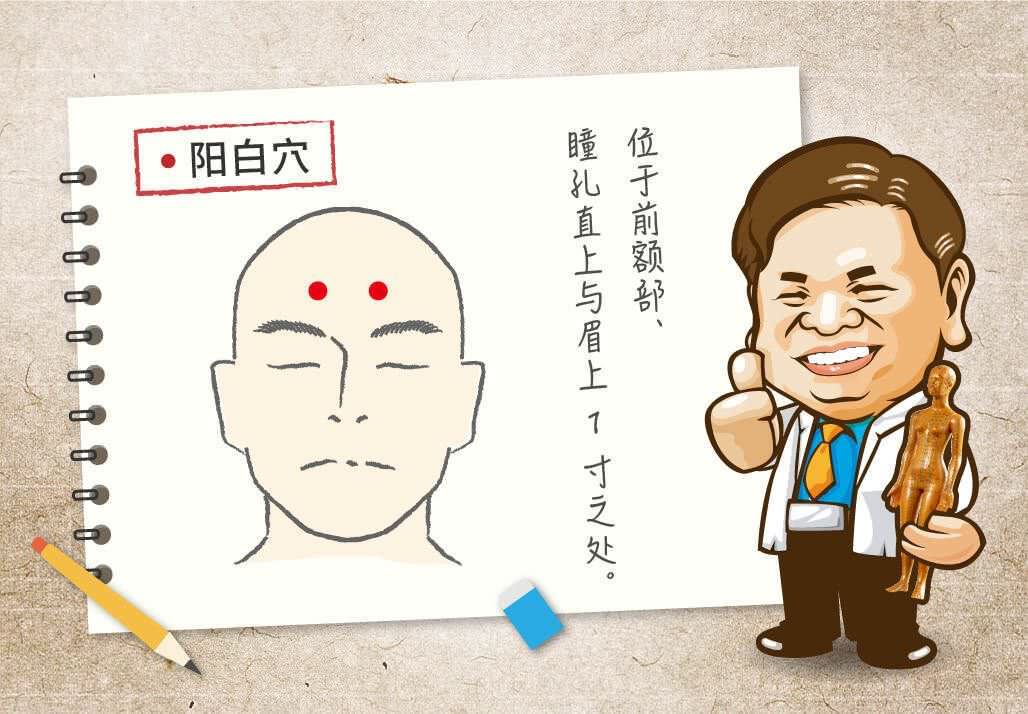 阳白穴