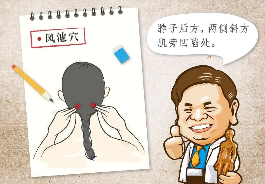 风池穴