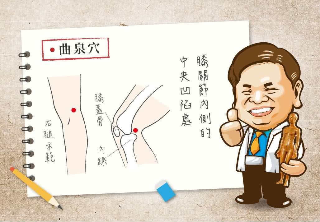 曲泉穴